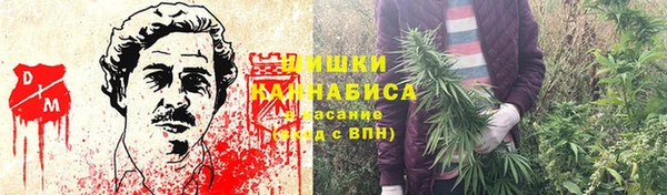 не бодяженный Белокуриха