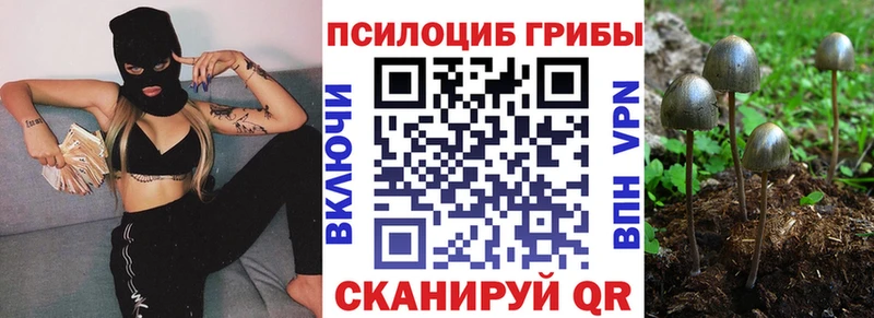 это формула  Бежецк  Галлюциногенные грибы Cubensis  наркотики 
